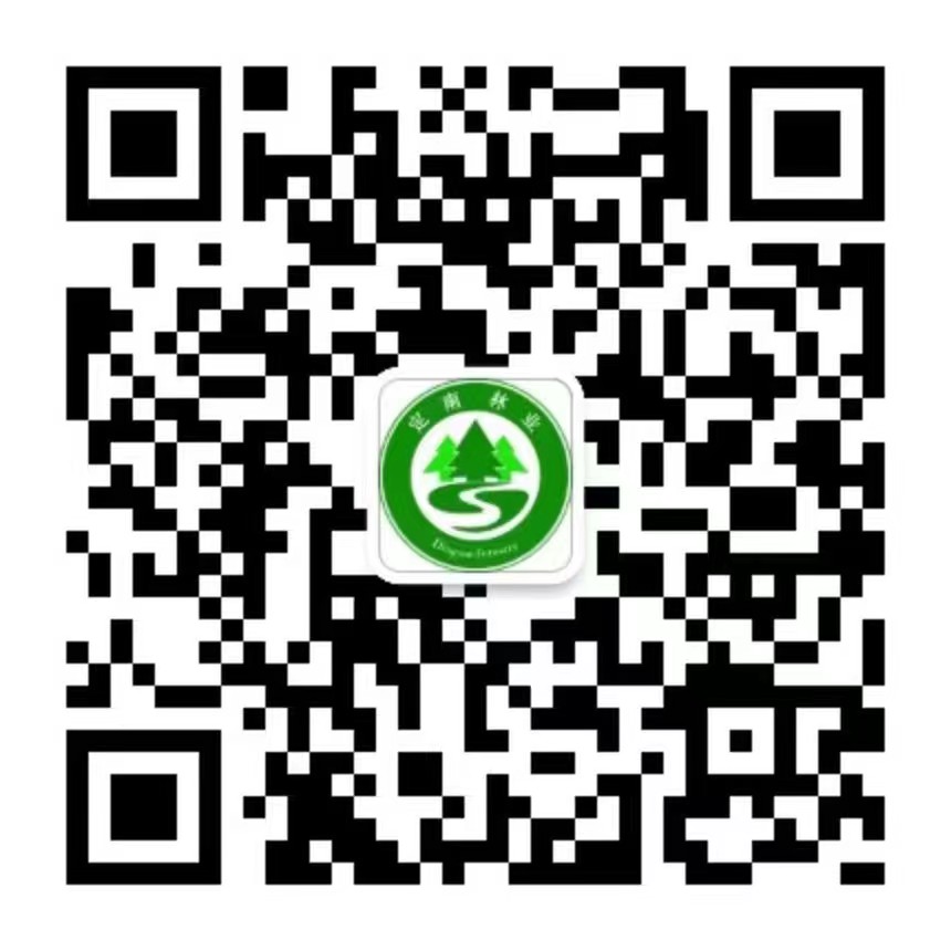 定南林業